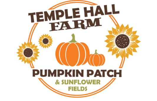Embroidered Pumpkin Patches:  A Creative Guide, Designs & Patterns
